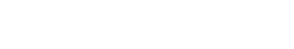 Asset Consulting Business